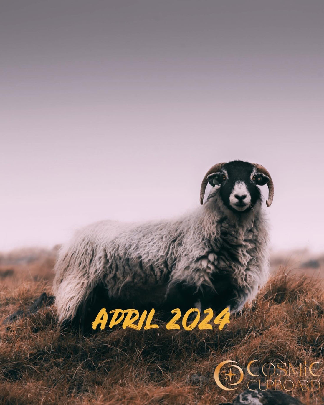 April 2024