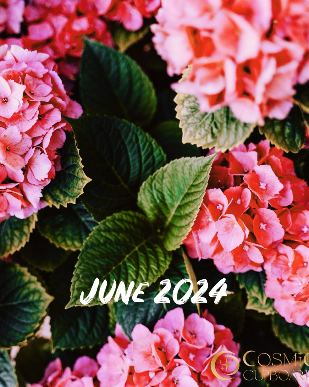 June 2024  - What we missed this month!!